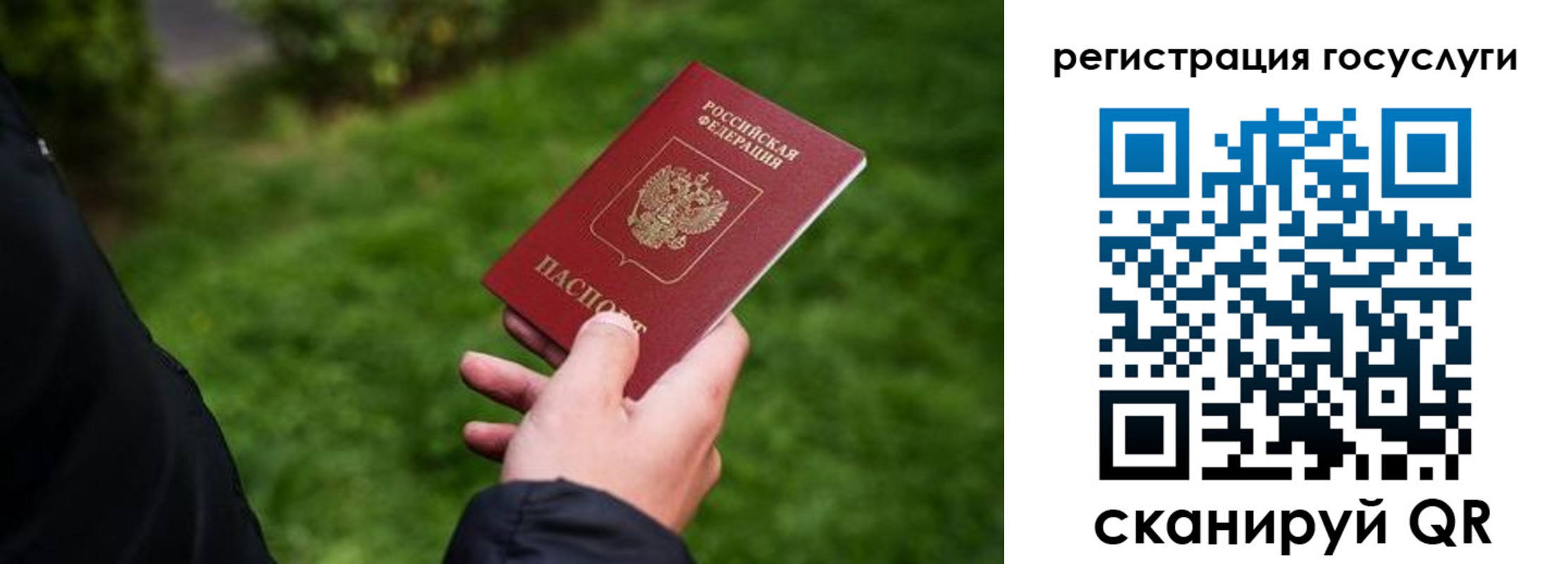 прописка в Звенигово